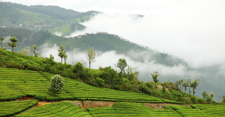 Coonoor Tour Package