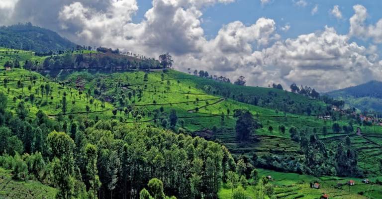 Kotagiri Tour Package