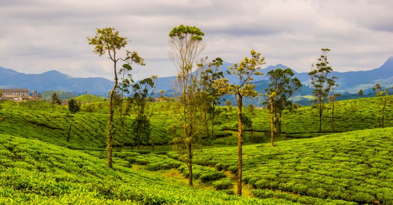 Valparai Tour Package