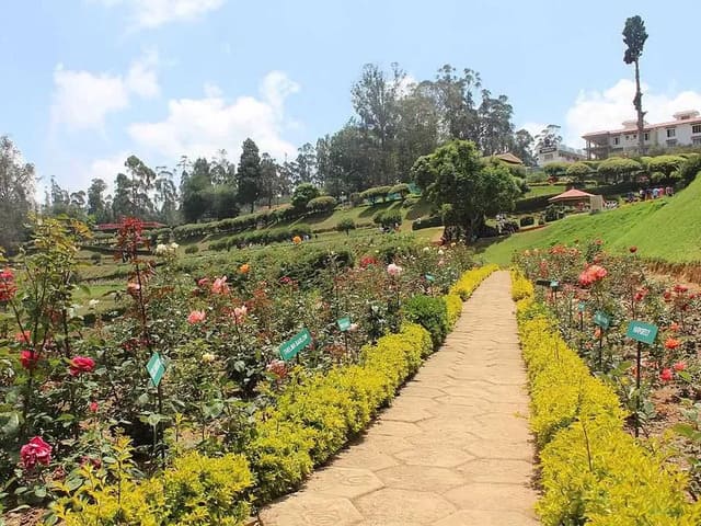 Ooty Botanical Garden